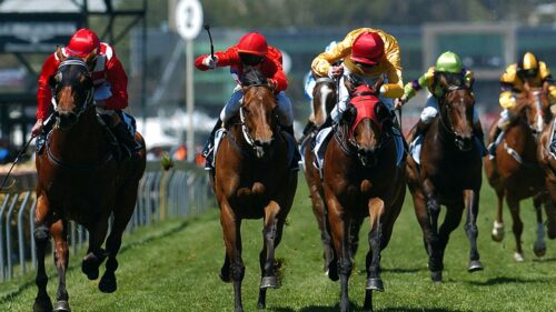 hong-kong-horse-races-off-to-a-great-start-at-sha-tin