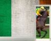 ireland-horse-racing-spectators-stands