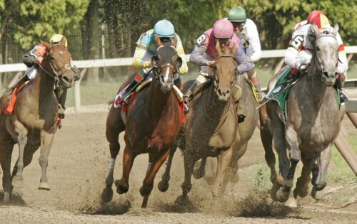 authentic-atop-preakness-stakes-betting-lines