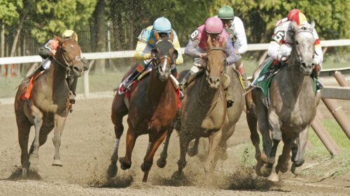 authentic-atop-preakness-stakes-betting-lines