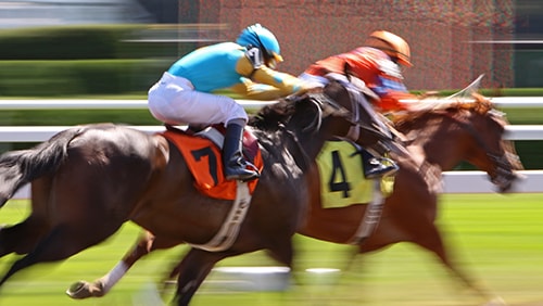 Photo of a Horse Racing event