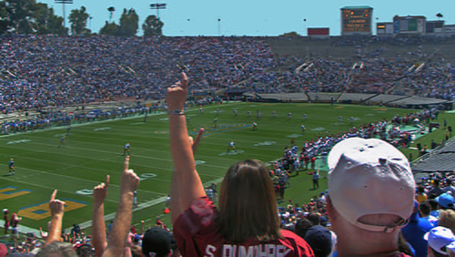 Crowd cheering on a sports stadium