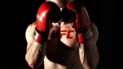 UFC boxing