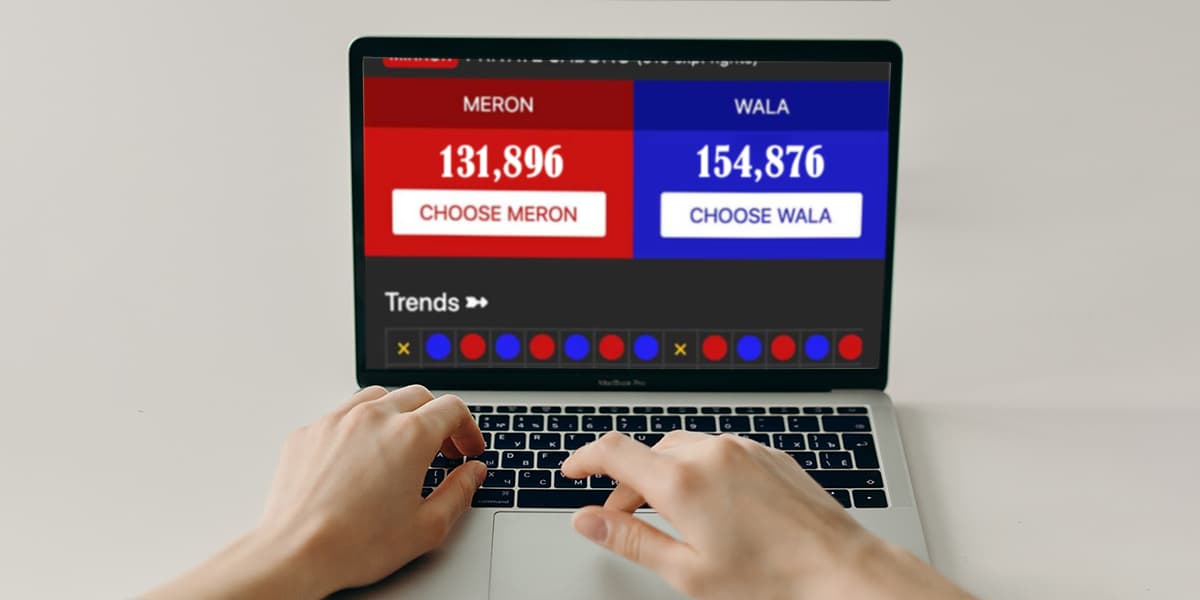 Online cockfighting betting platform on the laptop screen