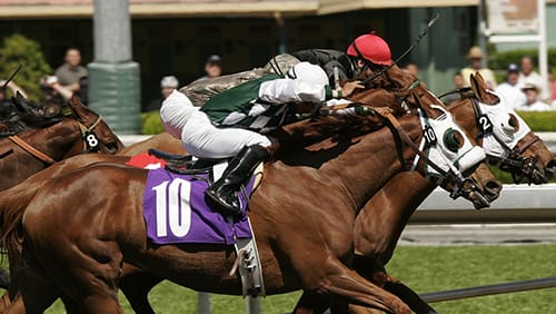 Close-up of three jockeys racing neck and neck toward the finish line in a thoroughbred horse race
