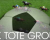 uk-tote-group-sports-betting-expansion