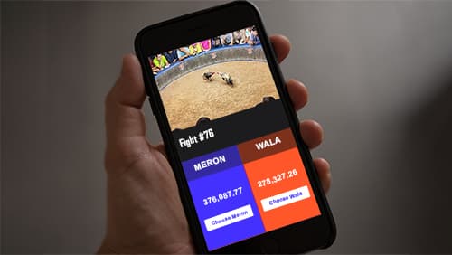 Online cockfighting app